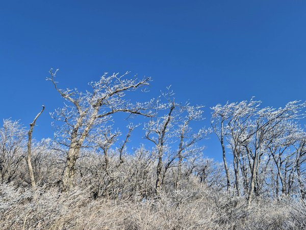 Guia completo para selecionar o melhor plano de sa∫de para idosos: dicas essenciais
